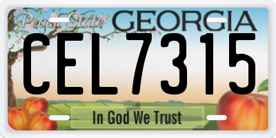 GA license plate CEL7315