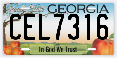 GA license plate CEL7316