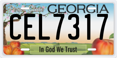 GA license plate CEL7317