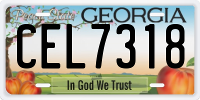 GA license plate CEL7318