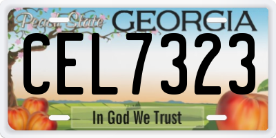 GA license plate CEL7323