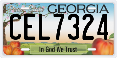 GA license plate CEL7324