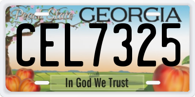 GA license plate CEL7325