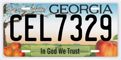 GA license plate CEL7329
