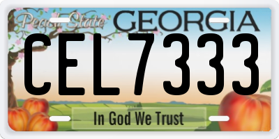 GA license plate CEL7333