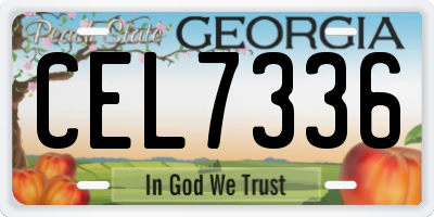 GA license plate CEL7336