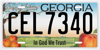 GA license plate CEL7340