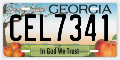GA license plate CEL7341