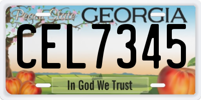 GA license plate CEL7345