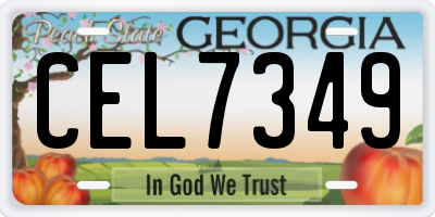 GA license plate CEL7349