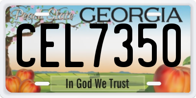 GA license plate CEL7350