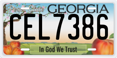 GA license plate CEL7386