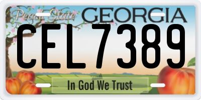 GA license plate CEL7389