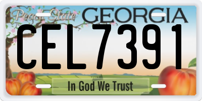 GA license plate CEL7391