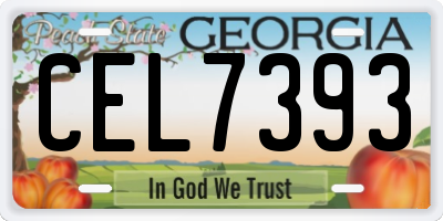 GA license plate CEL7393