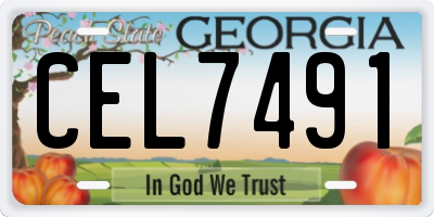 GA license plate CEL7491