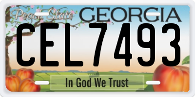 GA license plate CEL7493