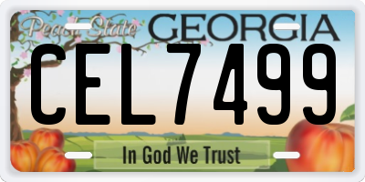 GA license plate CEL7499