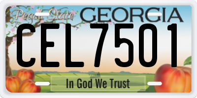 GA license plate CEL7501