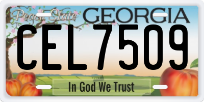GA license plate CEL7509