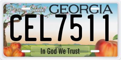 GA license plate CEL7511