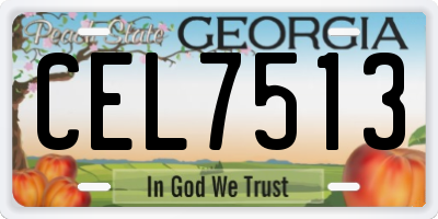GA license plate CEL7513