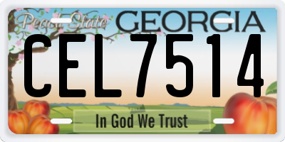 GA license plate CEL7514