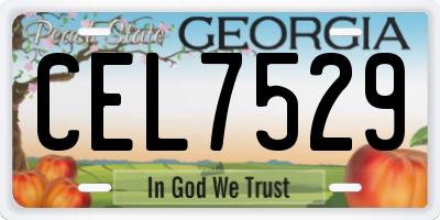 GA license plate CEL7529
