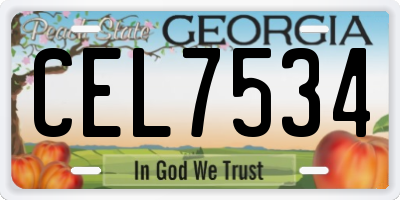 GA license plate CEL7534