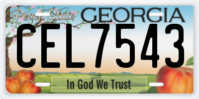 GA license plate CEL7543