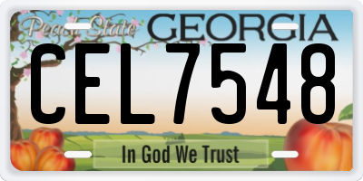 GA license plate CEL7548