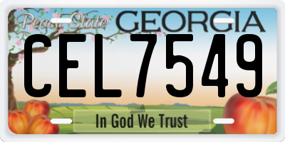 GA license plate CEL7549
