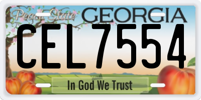 GA license plate CEL7554