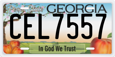 GA license plate CEL7557