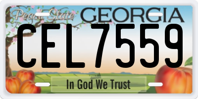 GA license plate CEL7559