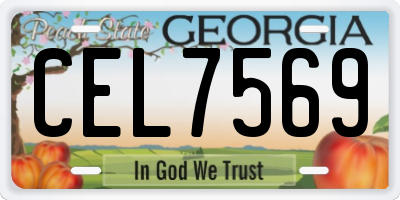 GA license plate CEL7569