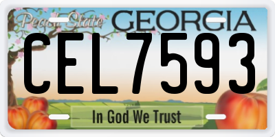 GA license plate CEL7593