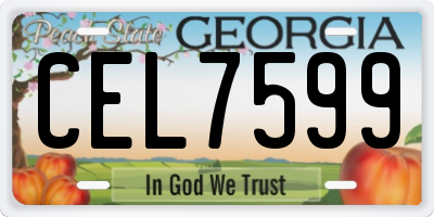 GA license plate CEL7599
