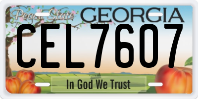 GA license plate CEL7607