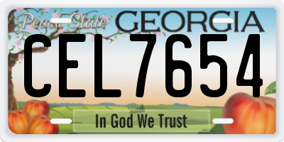 GA license plate CEL7654