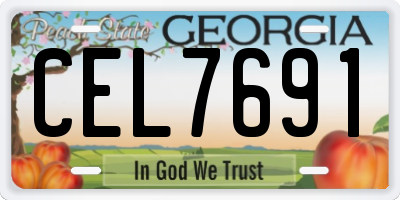 GA license plate CEL7691