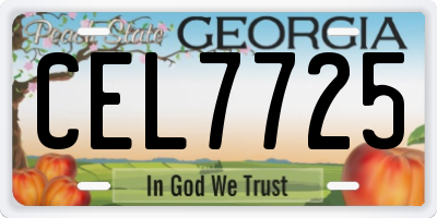 GA license plate CEL7725