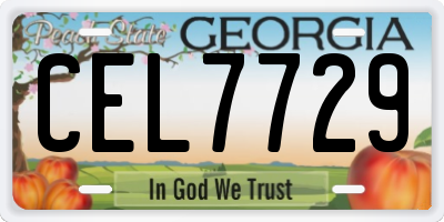 GA license plate CEL7729