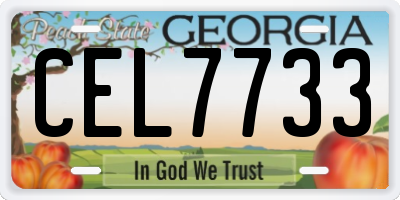 GA license plate CEL7733