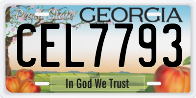 GA license plate CEL7793