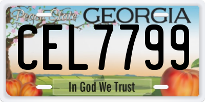 GA license plate CEL7799