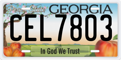 GA license plate CEL7803