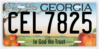 GA license plate CEL7825