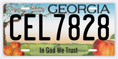 GA license plate CEL7828