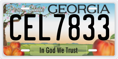 GA license plate CEL7833